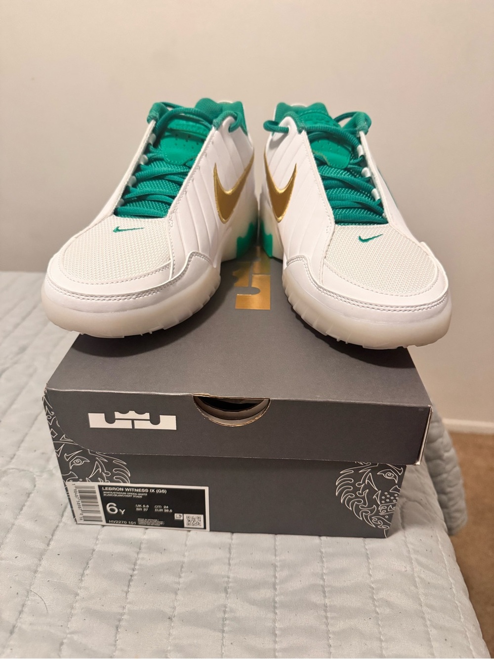 LeBron Witness IX BRAND NEW